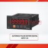 AUTONICS PULSE METER DIGITAL MP5Y-24